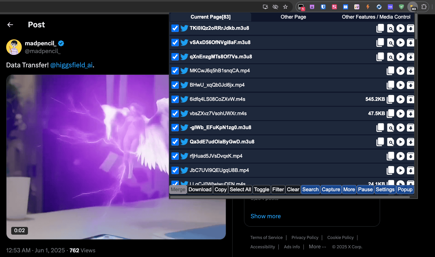 猫抓 Cat Catch 界面 1
